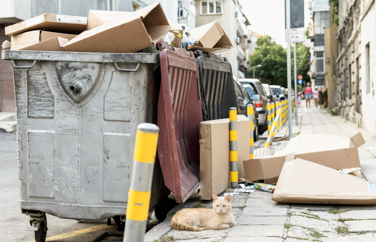 Summer Decluttering Dumpster